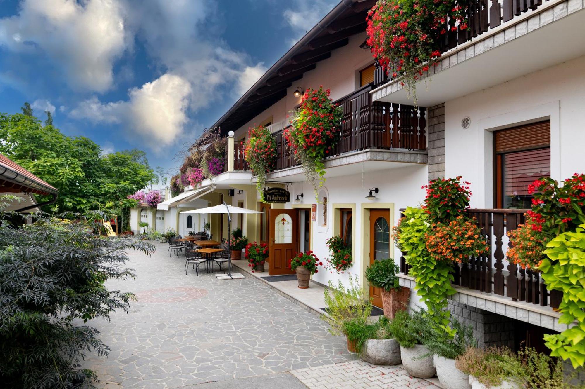 Villa Tourist Farm Pri Andrejevih Narin Exterior foto