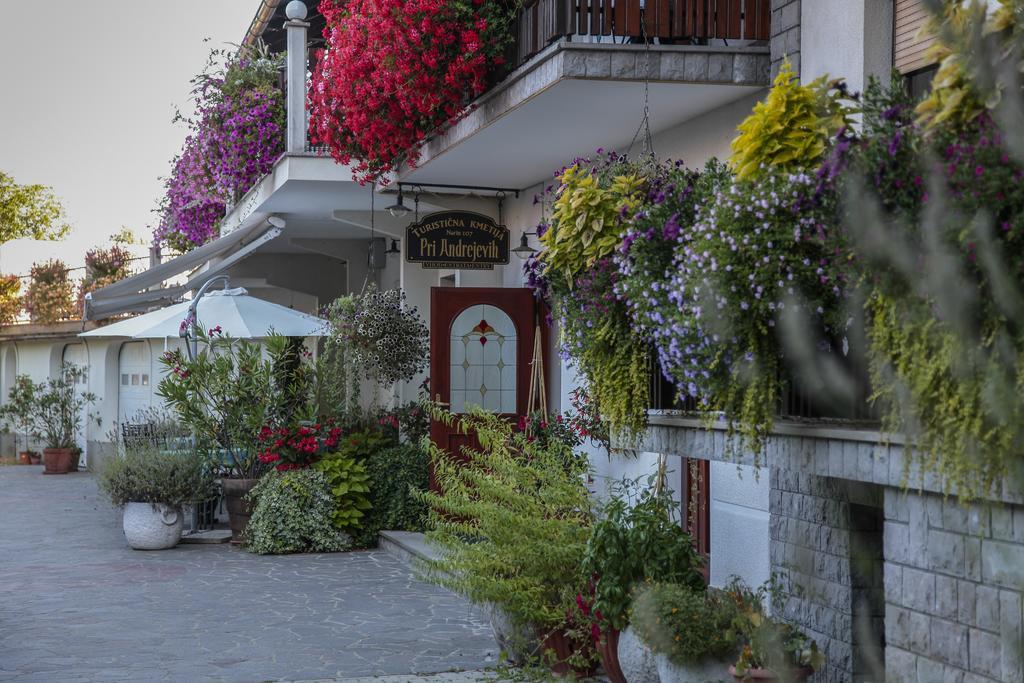 Villa Tourist Farm Pri Andrejevih Narin Exterior foto