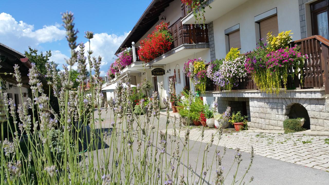 Villa Tourist Farm Pri Andrejevih Narin Exterior foto